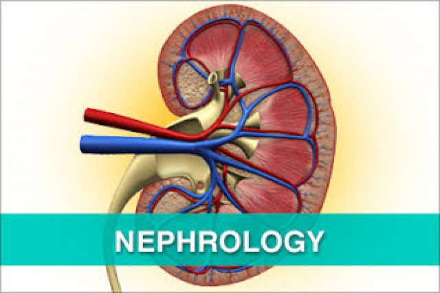 NEPHROLOGY