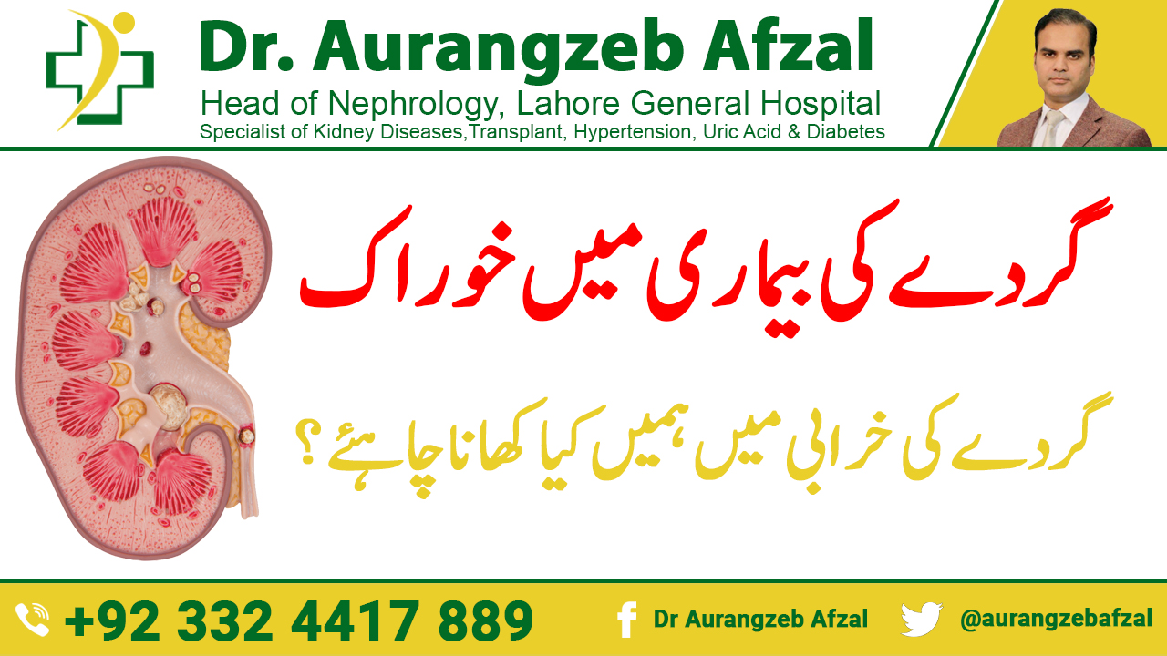 Diet in Kidney Disease - What should we eat in Kidney Failure in [Urdu/Hindi]