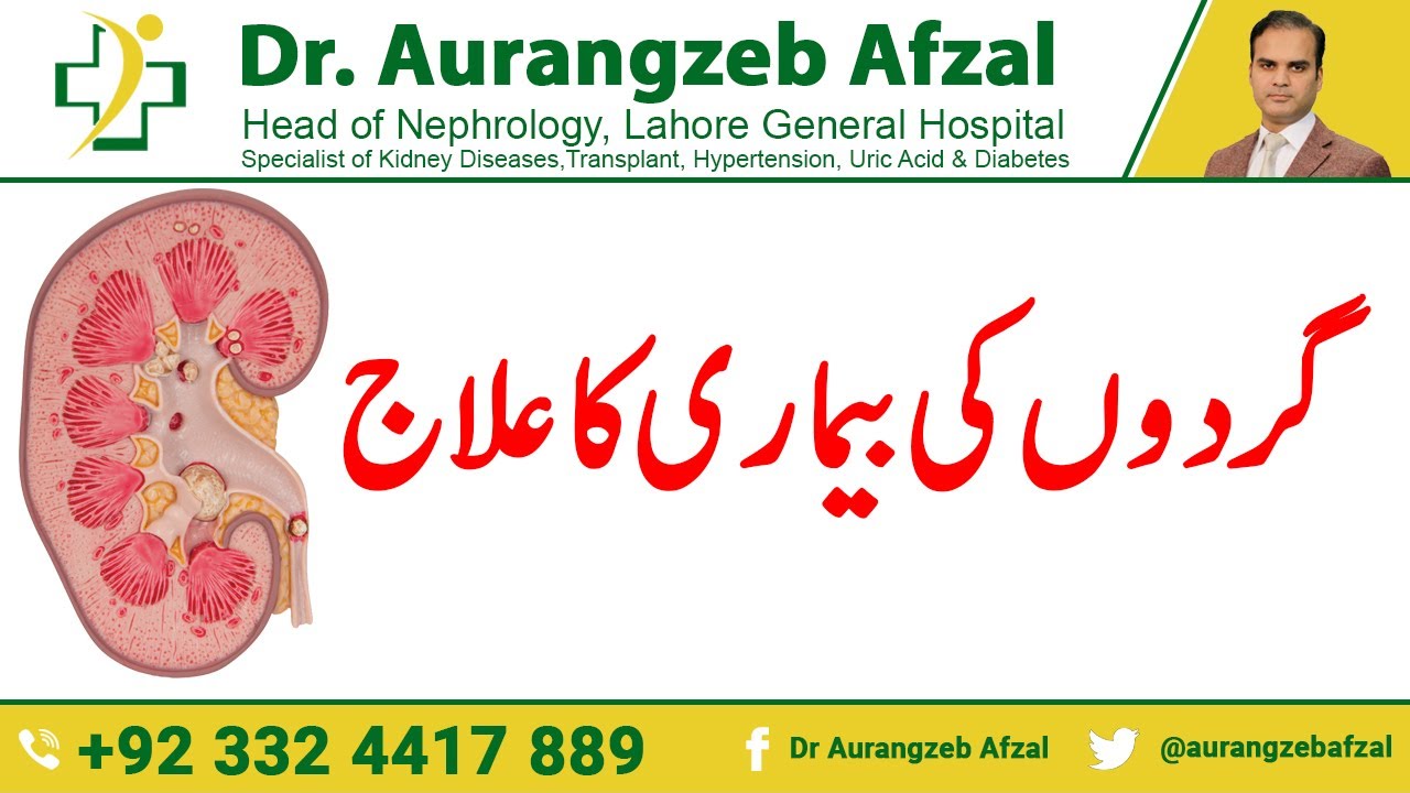 Treatment of Kidney disease - Failure caused by Diabetes in Urdu/Hindi Treatment of Kidney disease - Failure caused by Diabetes in Urdu/Hindi