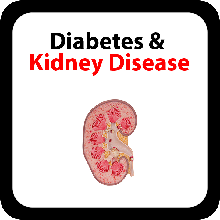 Diabetes & Kidney Disease